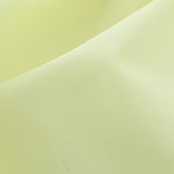 PP