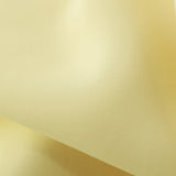 PP