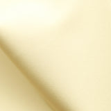 PP