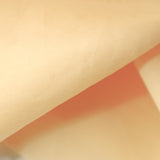 PP