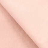 PP