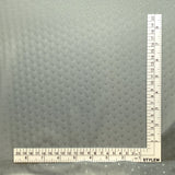PP