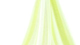 PP