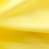 PP