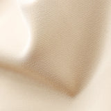 PP