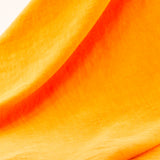 PP