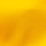 PP